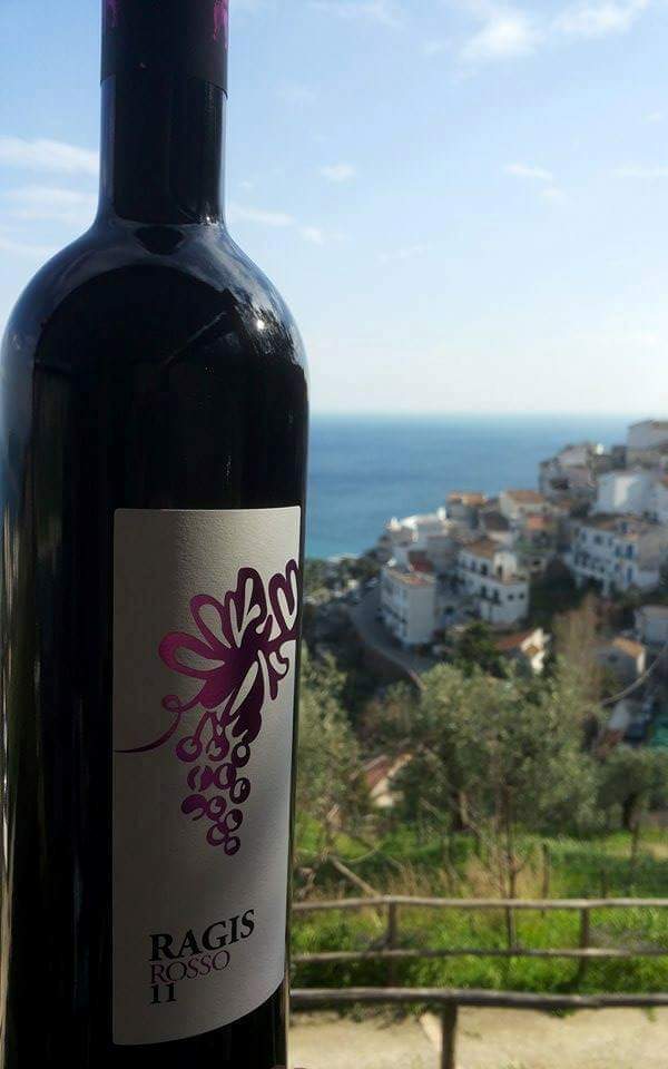 ragis-le vigne di raito-patrizia malanga-2011-aglianico-piedirosso-raito-costa d'amalfi-vino-vino rosso-vino campano-colli di salerno-degustazione-appunti degustazione-note degustazione-storia azienda-abbinamento-antonio indovino-degustatore ufficiale-sommelier